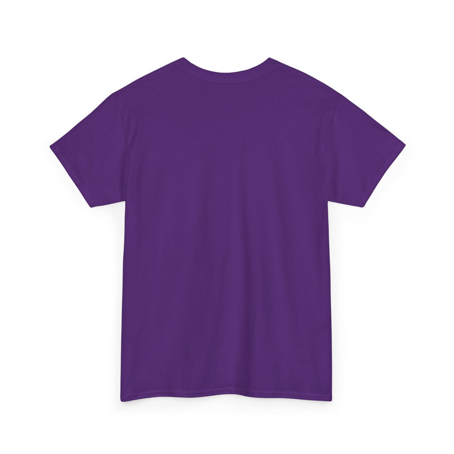 Patriotic Raccoon 'Red White & Feral' T-Shirt