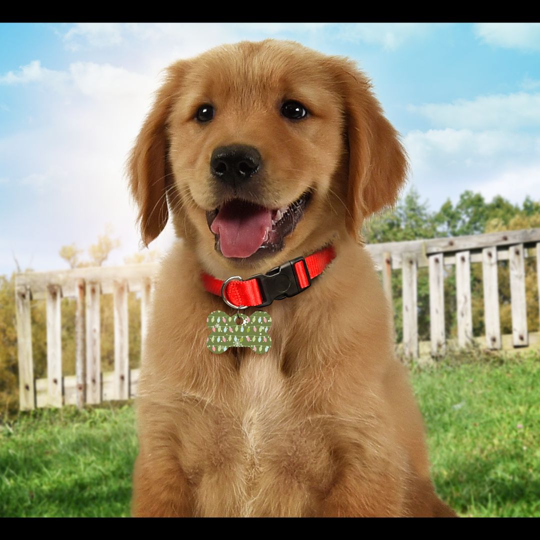 Christmas Pet Tags
