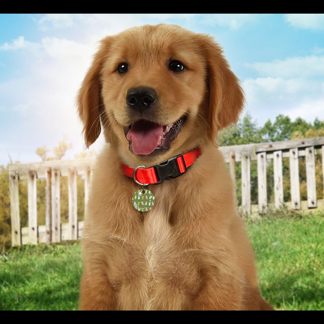 Christmas Pet Tags