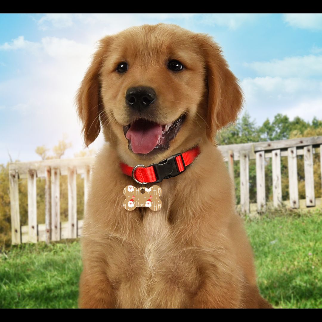Christmas Pet Tags
