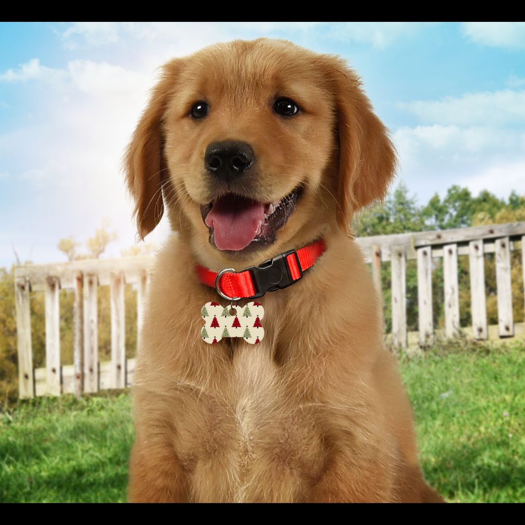 Christmas Pet Tags
