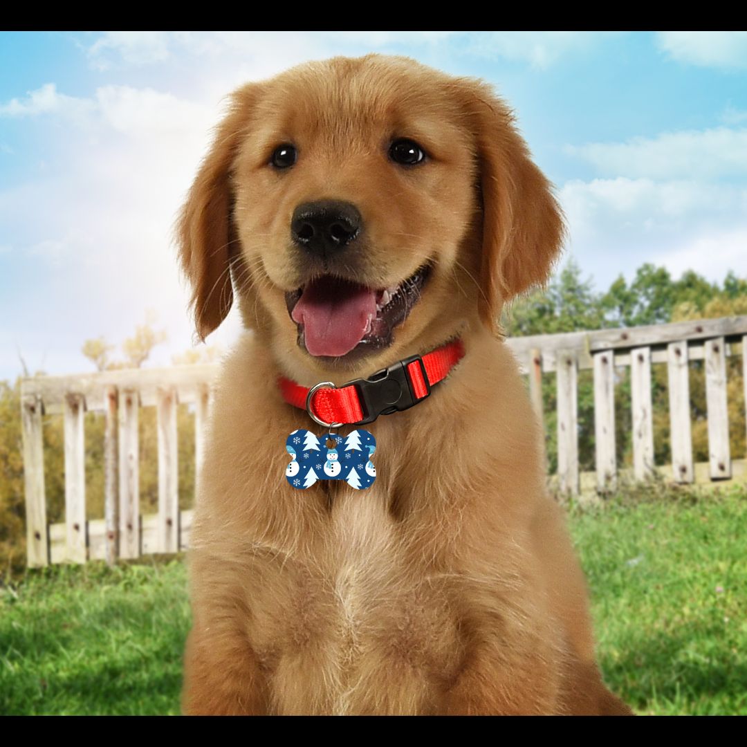 Christmas Pet Tags