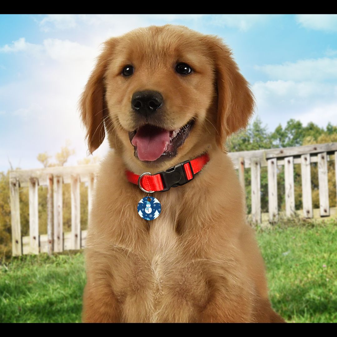 Christmas Pet Tags